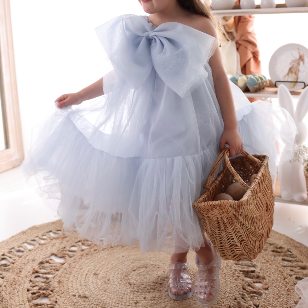 Tina mur skyblue tulle dress
